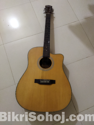 Guitar গিটার
